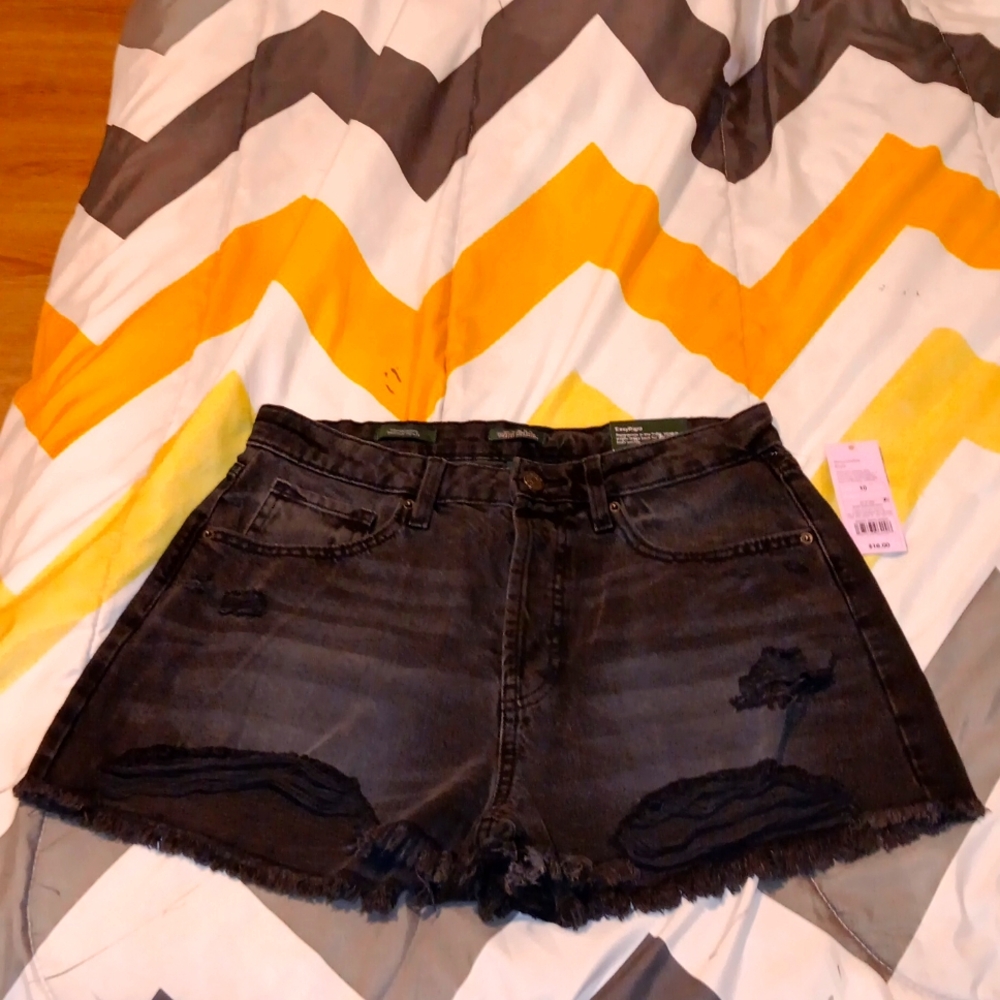NWTS Easy Ridgid High Rise Destroyed Shorts 10